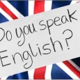 insertion professionnelle defij anglais