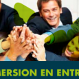 formation emploi insertion professionnelle nouvelle caledonie