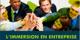 formation emploi insertion professionnelle nouvelle caledonie